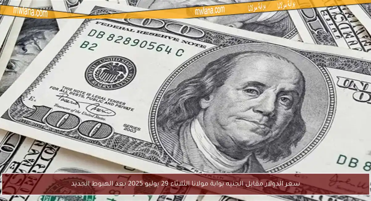 سعر الدولار مقابل الجنيه بوابة مولانا الثلاثاء 29 يوليو 2025 بعد الهبوط الجديد