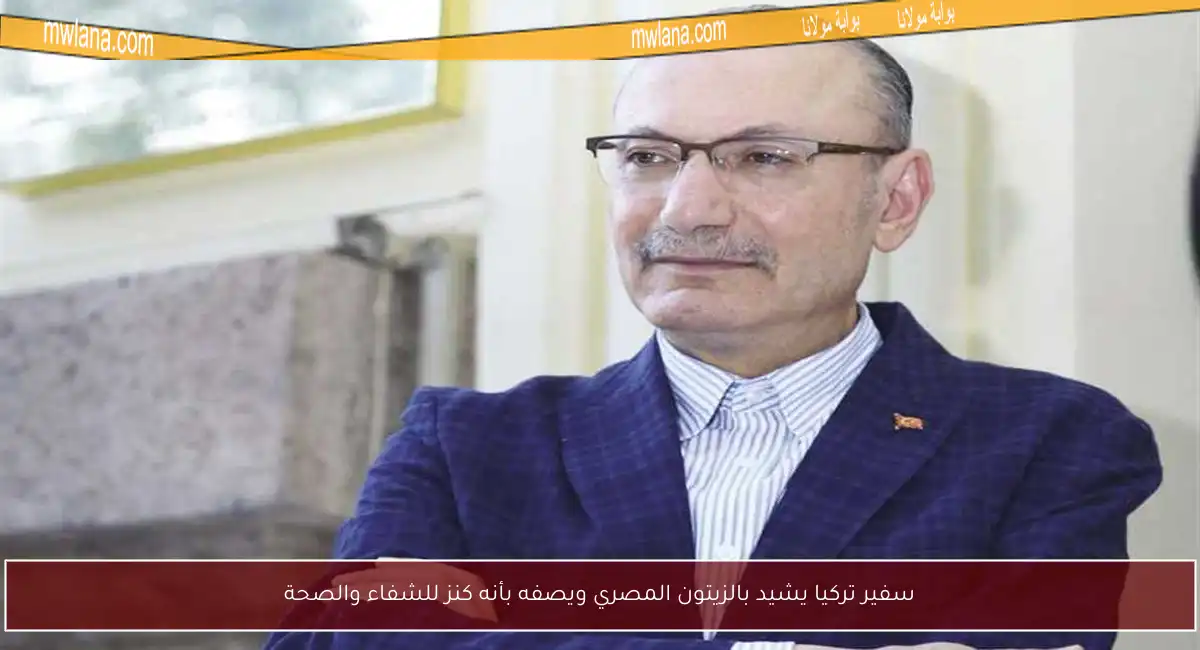 سفير تركيا يشيد بالزيتون المصري ويصفه بأنه كنز للشفاء والصحة