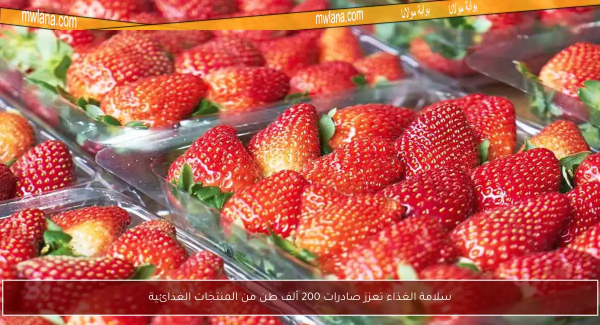 سلامة الغذاء تعزز صادرات 200 ألف طن من المنتجات الغذائية