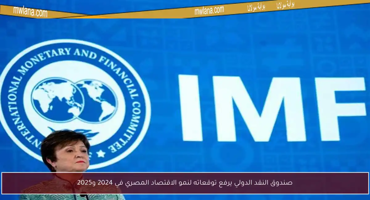 صندوق النقد الدولي يرفع توقعاته لنمو الاقتصاد المصري في 2024 و2025
