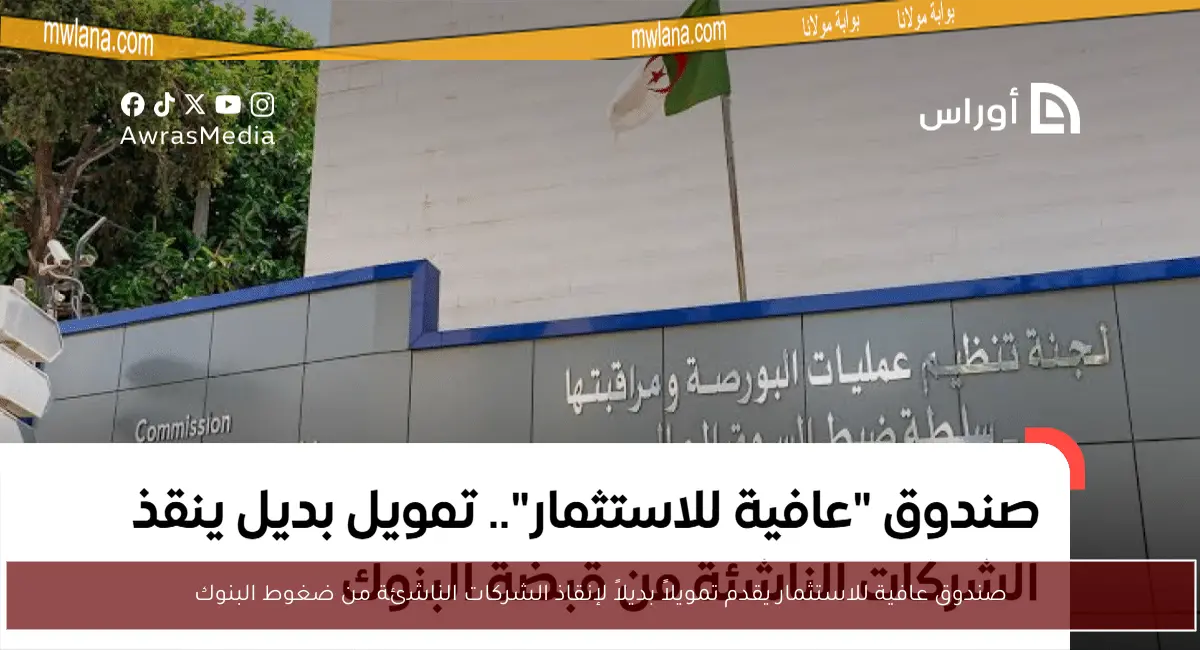 صندوق عافية للاستثمار يقدم تمويلاً بديلاً لإنقاذ الشركات الناشئة من ضغوط البنوك