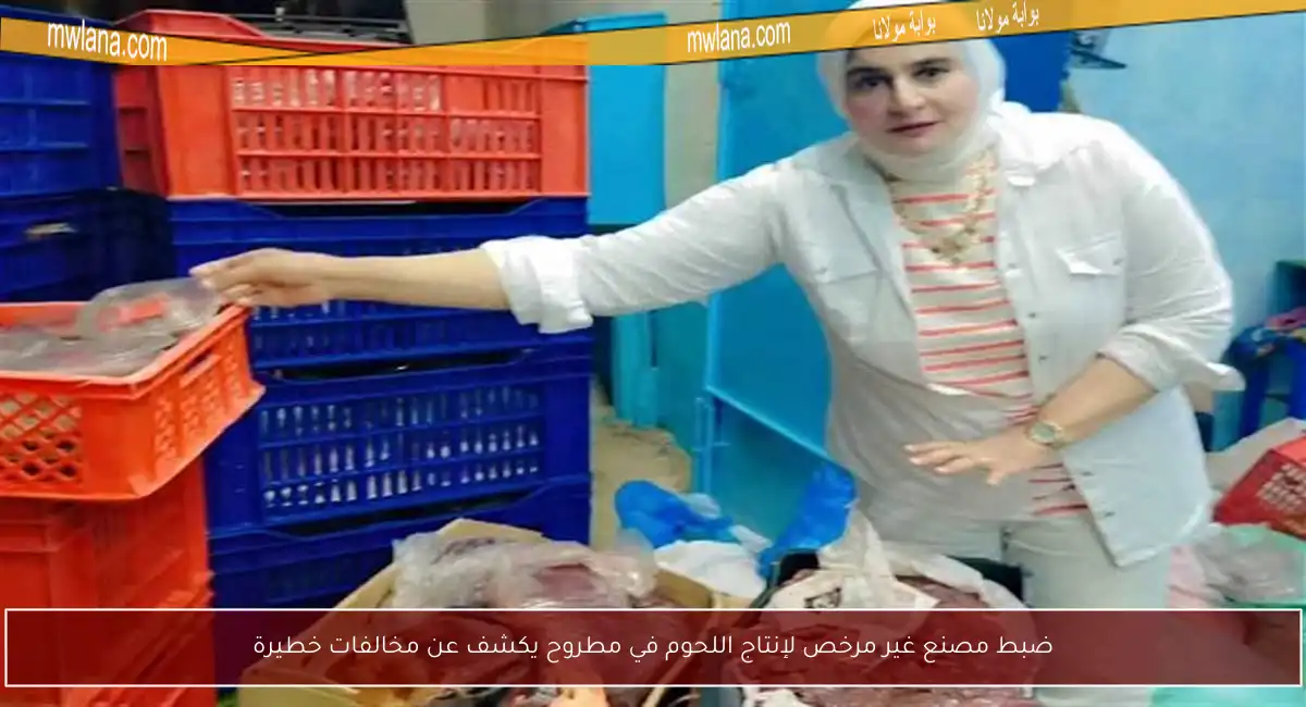 ضبط مصنع غير مرخص لإنتاج اللحوم في مطروح يكشف عن مخالفات خطيرة
