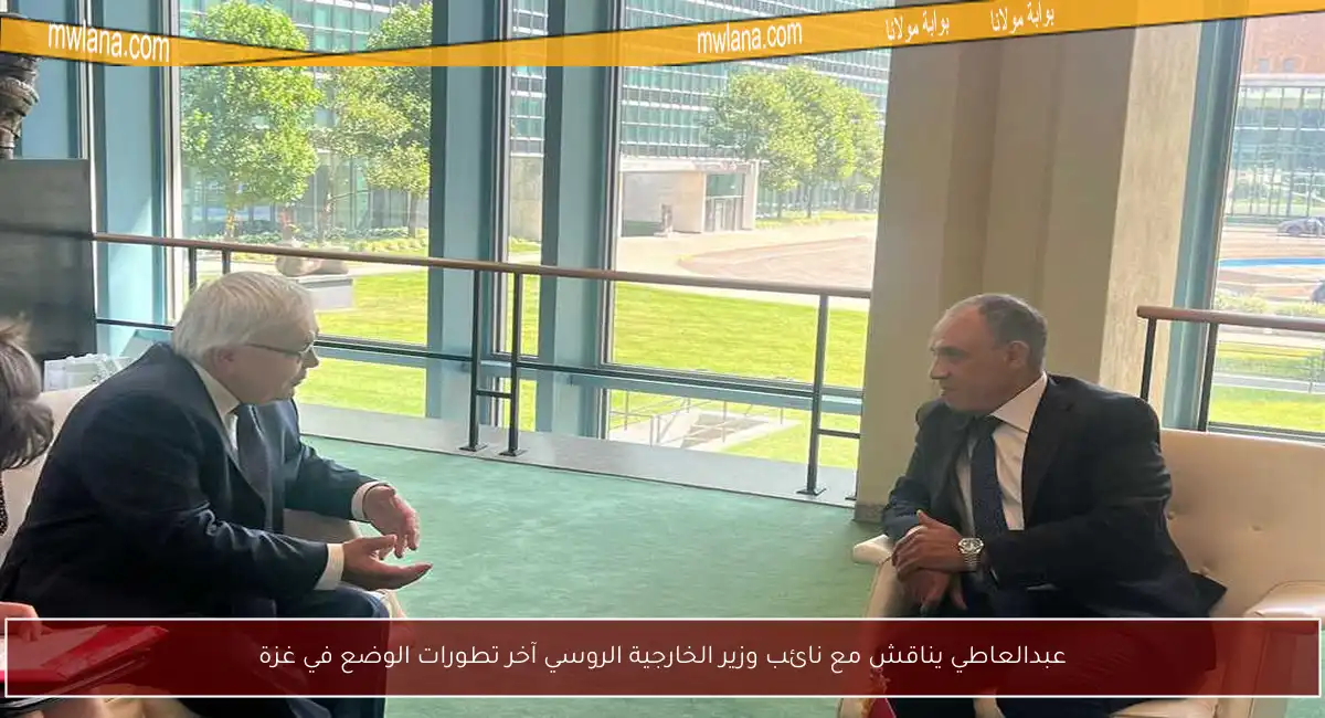 عبدالعاطي يناقش مع نائب وزير الخارجية الروسي آخر تطورات الوضع في غزة