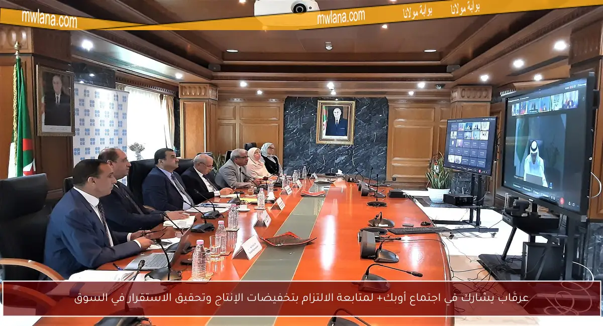 عرقاب يشارك في اجتماع أوبك+ لمتابعة الالتزام بتخفيضات الإنتاج وتحقيق الاستقرار في السوق