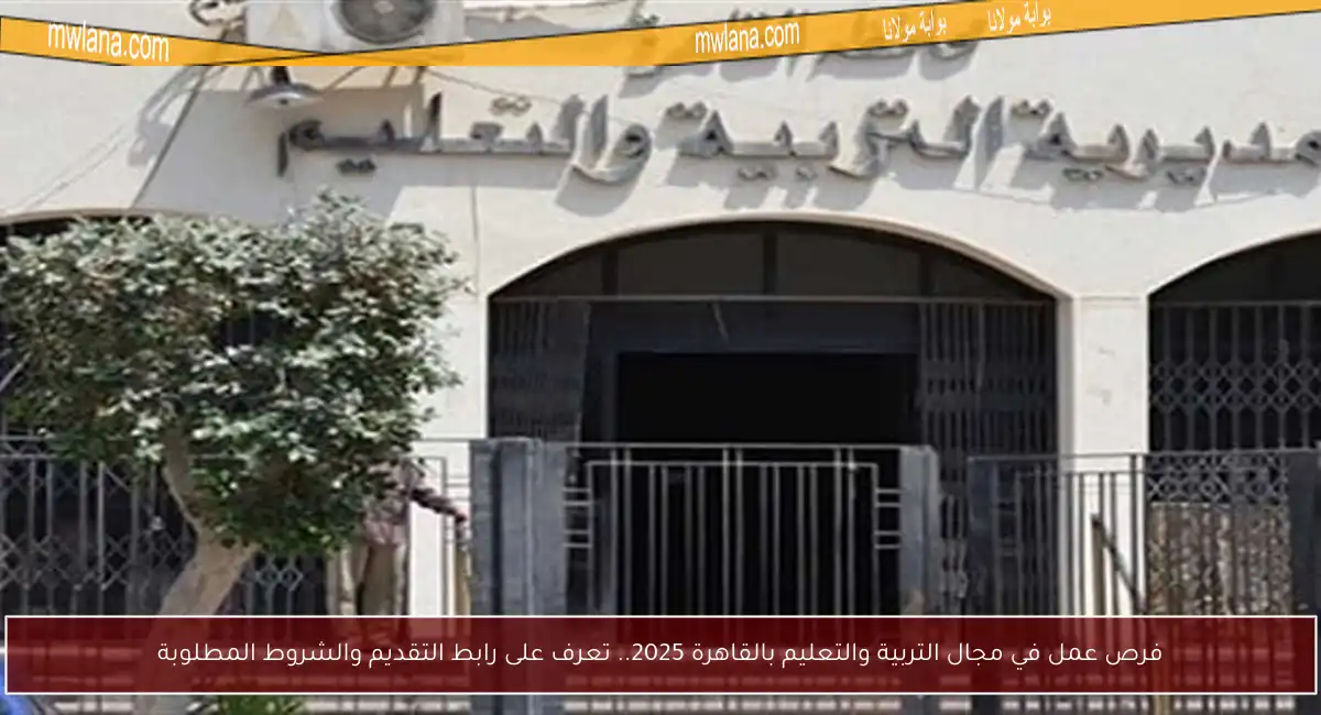 فرص عمل في مجال التربية والتعليم بالقاهرة 2025.. تعرف على رابط التقديم والشروط المطلوبة