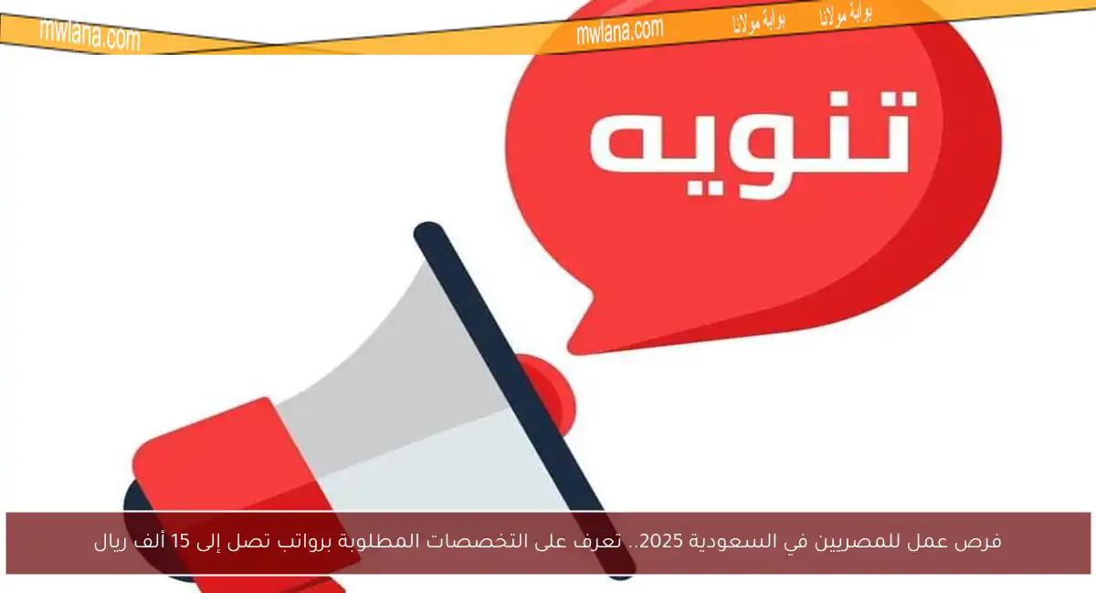 فرص عمل للمصريين في السعودية 2025.. تعرف على التخصصات المطلوبة برواتب تصل إلى 15 ألف ريال