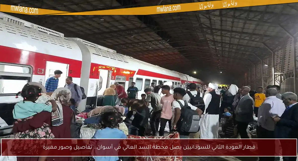 قطار العودة الثاني للسودانيين يصل محطة السد العالي في أسوان.. تفاصيل وصور مميزة