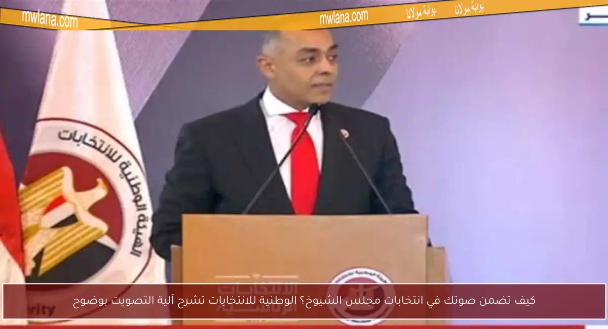 كيف تضمن صوتك في انتخابات مجلس الشيوخ؟ الوطنية للانتخابات تشرح آلية التصويت بوضوح