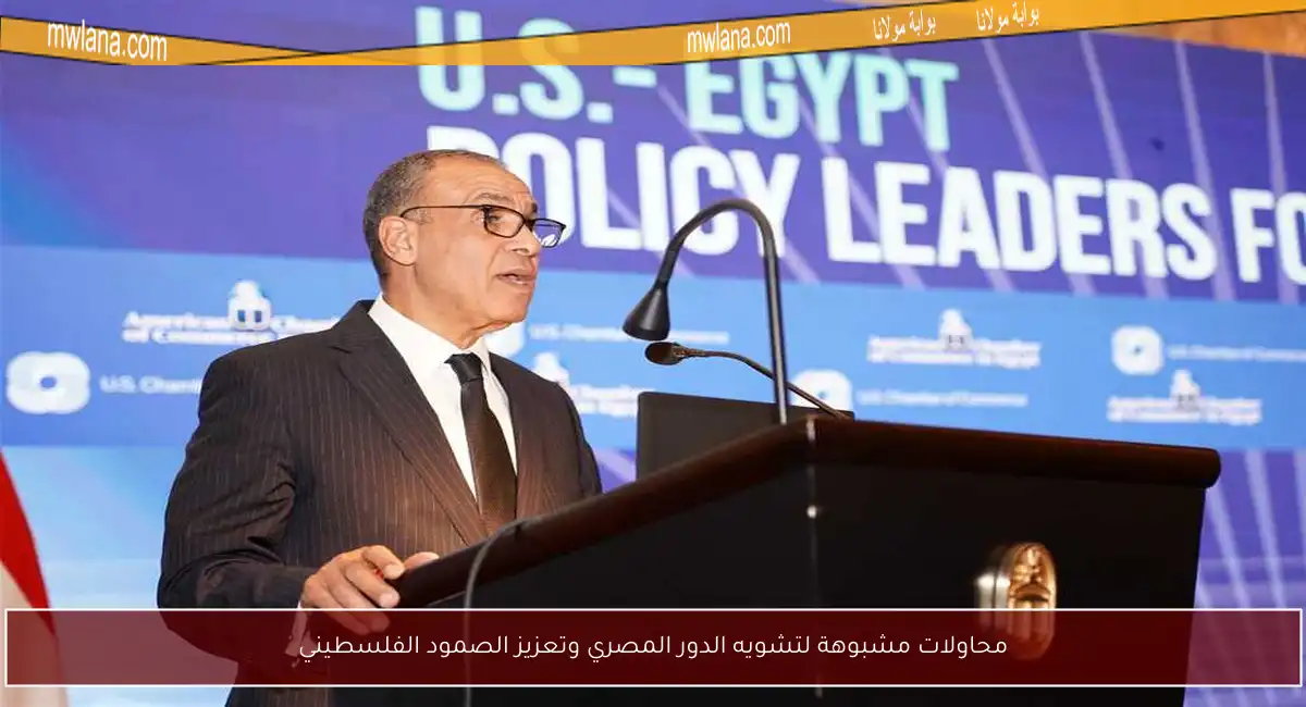 محاولات مشبوهة لتشويه الدور المصري وتعزيز الصمود الفلسطيني