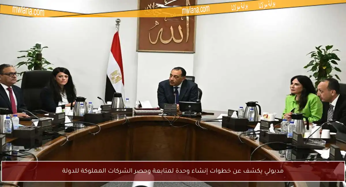 مدبولي يكشف عن خطوات إنشاء وحدة لمتابعة وحصر الشركات المملوكة للدولة
