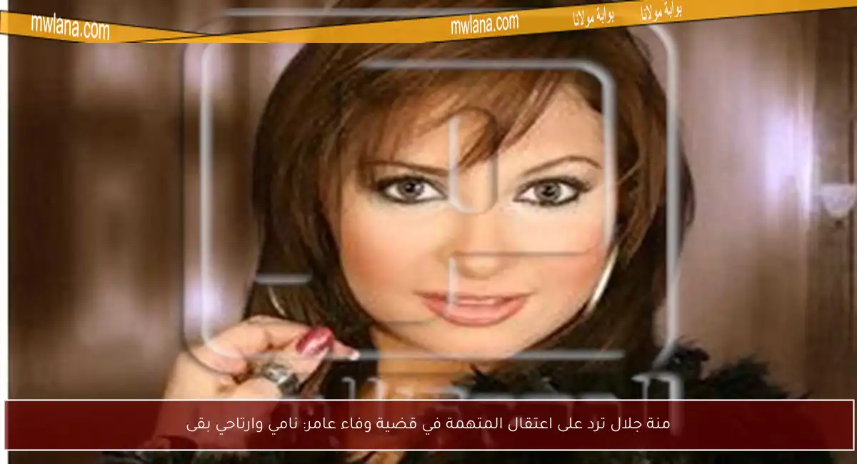 منة جلال ترد على اعتقال المتهمة في قضية وفاء عامر: نامي وارتاحي بقى