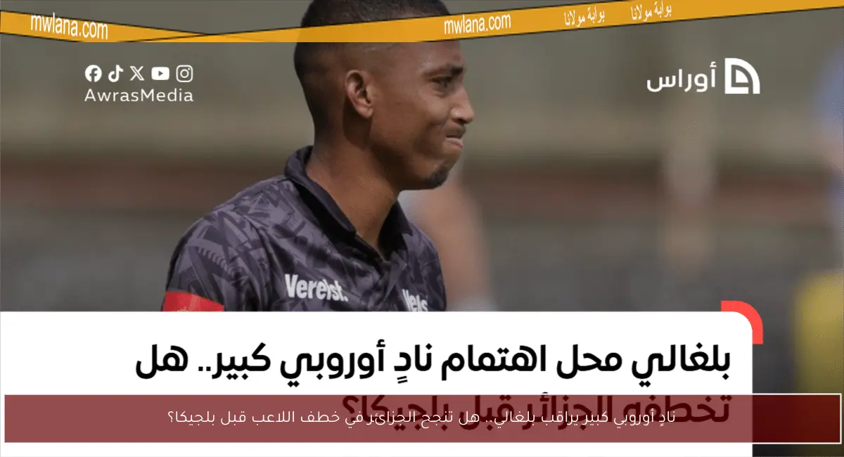 نادٍ أوروبي كبير يراقب بلغالي.. هل تنجح الجزائر في خطف اللاعب قبل بلجيكا؟