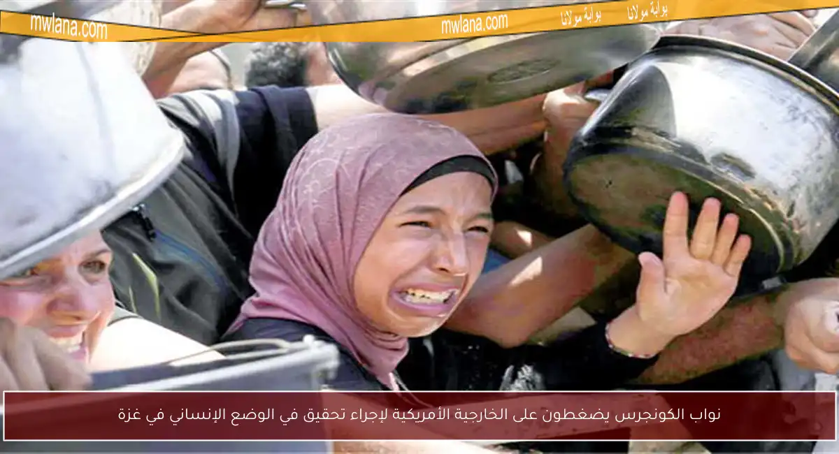 نواب الكونجرس يضغطون على الخارجية الأمريكية لإجراء تحقيق في الوضع الإنساني في غزة