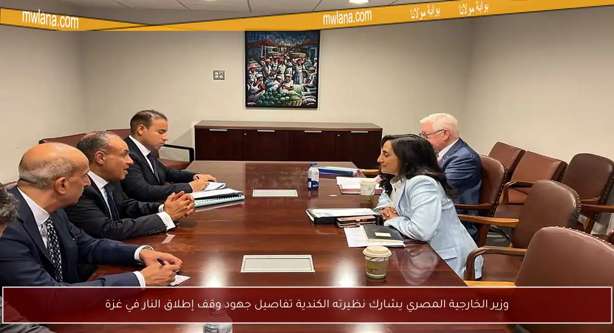 وزير الخارجية المصري يشارك نظيرته الكندية تفاصيل جهود وقف إطلاق النار في غزة