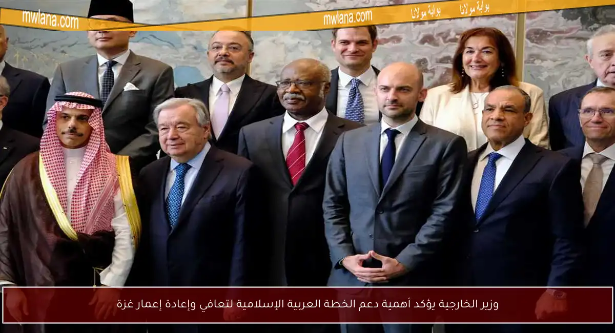 وزير الخارجية يؤكد أهمية دعم الخطة العربية الإسلامية لتعافي وإعادة إعمار غزة