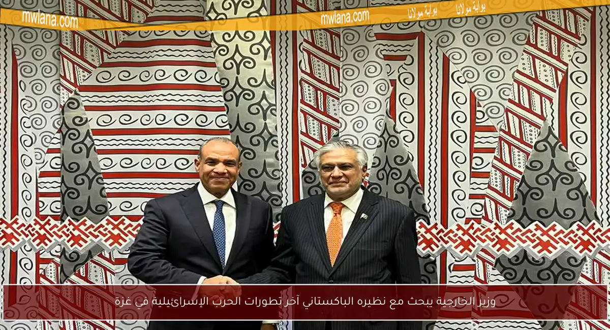 وزير الخارجية يبحث مع نظيره الباكستاني آخر تطورات الحرب الإسرائيلية في غزة