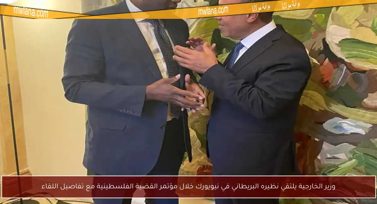 وزير الخارجية يلتقي نظيره البريطاني في نيويورك خلال مؤتمر القضية الفلسطينية مع تفاصيل اللقاء
