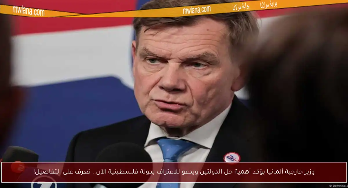وزير خارجية ألمانيا يؤكد أهمية حل الدولتين ويدعو للاعتراف بدولة فلسطينية الآن.. تعرف على التفاصيل!