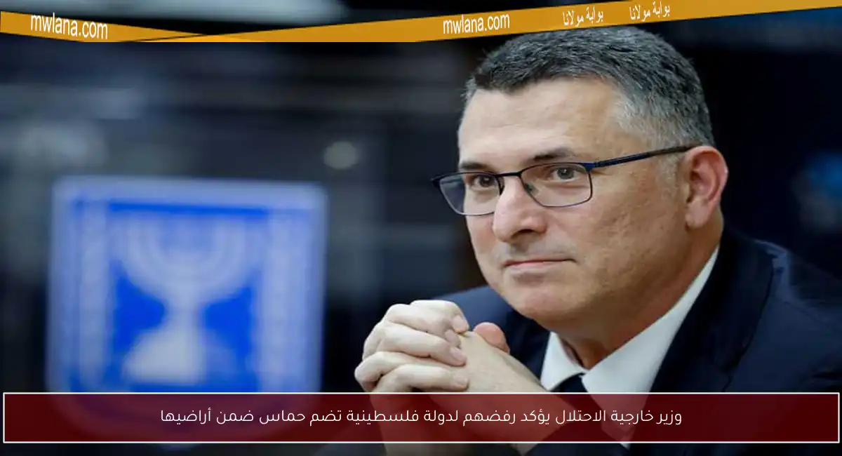 وزير خارجية الاحتلال يؤكد رفضهم لدولة فلسطينية تضم حماس ضمن أراضيها