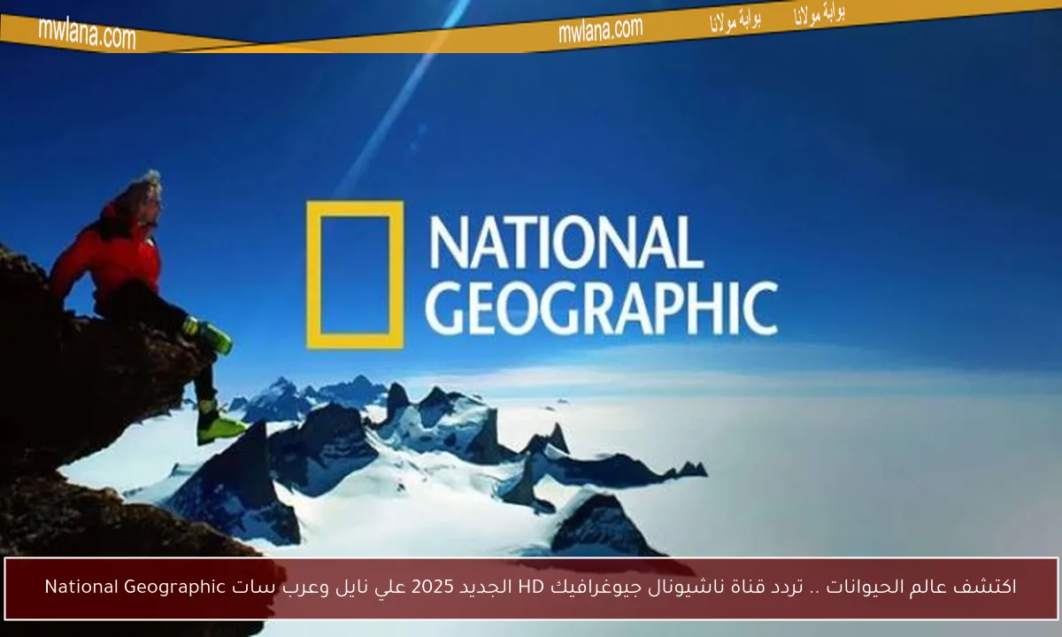 اكتشف عالم الحيوانات .. تردد قناة ناشيونال جيوغرافيك HD الجديد 2025 علي نايل وعرب سات National Geographic - بوابة مولانا