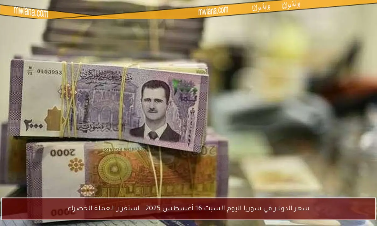 سعر الدولار في سوريا اليوم السبت 16 أغسطس 2025.. استقرار العملة الخضراء