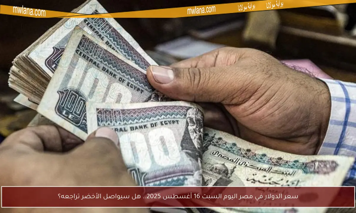 سعر الدولار في مصر اليوم السبت 16 أغسطس 2025.. هل سيواصل الأخضر تراجعه؟