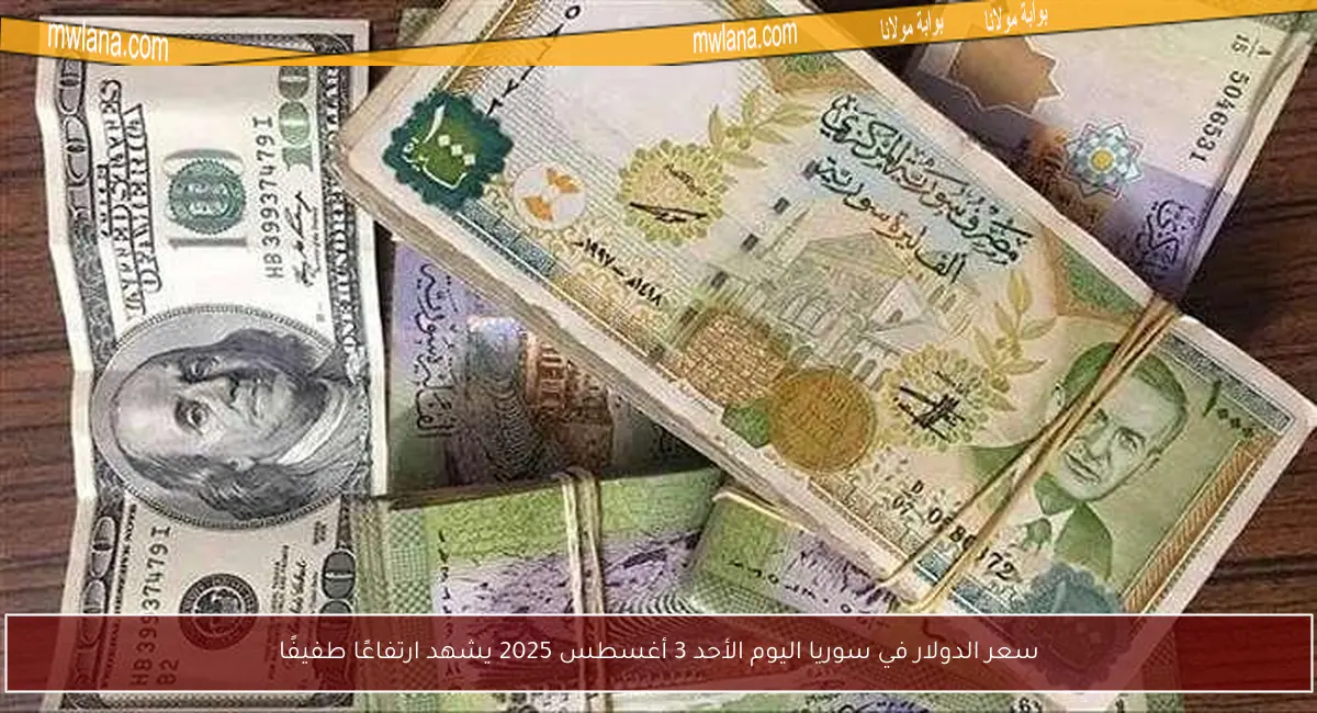 سعر الدولار في سوريا اليوم الأحد 3 أغسطس 2025 يشهد ارتفاعًا طفيفًا