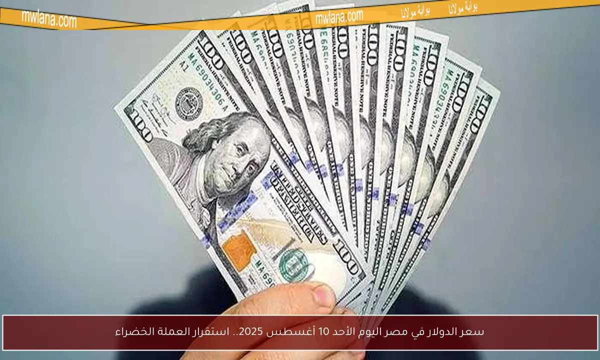 سعر الدولار في مصر اليوم الأحد 10 أغسطس 2025.. استقرار العملة الخضراء