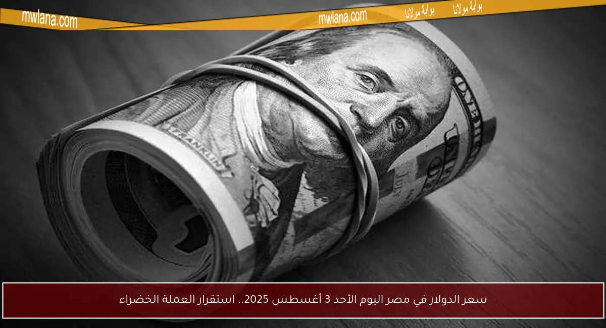 سعر الدولار في مصر اليوم الأحد 3 أغسطس 2025.. استقرار العملة الخضراء