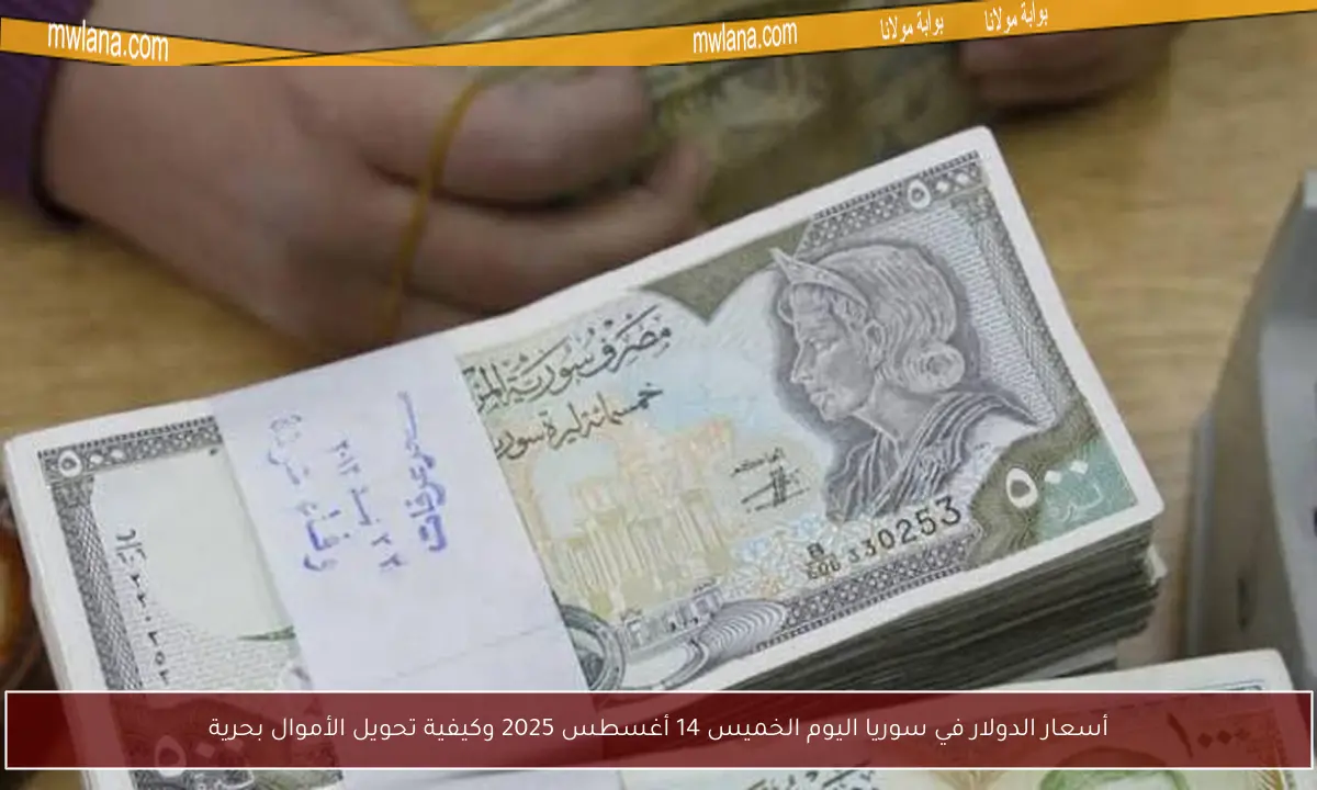 أسعار الدولار في سوريا اليوم الخميس 14 أغسطس 2025 وكيفية تحويل الأموال بحرية