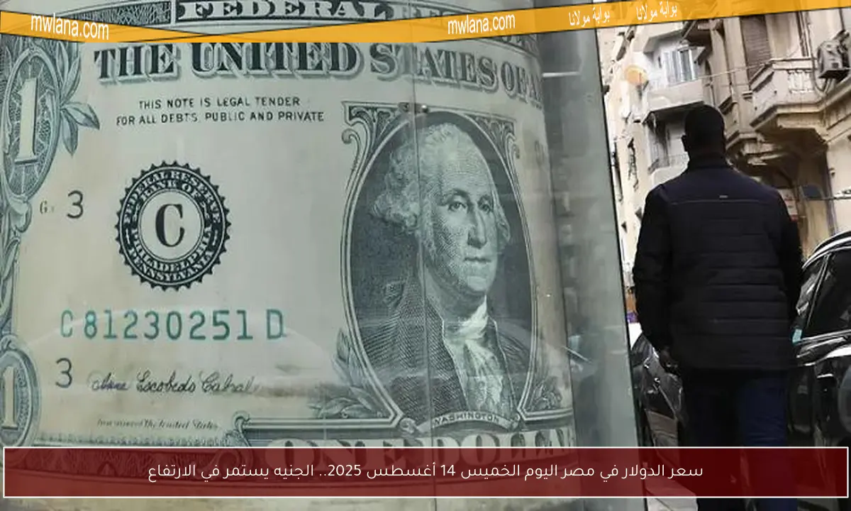 سعر الدولار في مصر اليوم الخميس 14 أغسطس 2025.. الجنيه يستمر في الارتفاع