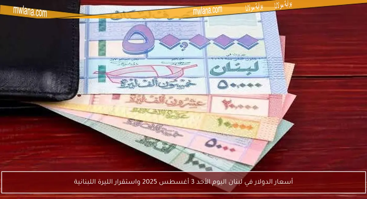 أسعار الدولار في لبنان اليوم الأحد 3 أغسطس 2025 واستقرار الليرة اللبنانية