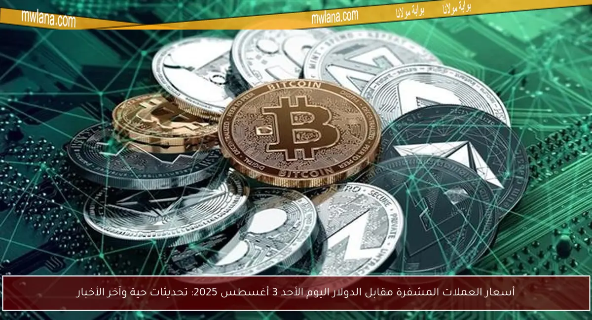 أسعار العملات المشفرة مقابل الدولار اليوم الأحد 3 أغسطس 2025: تحديثات حية وآخر الأخبار