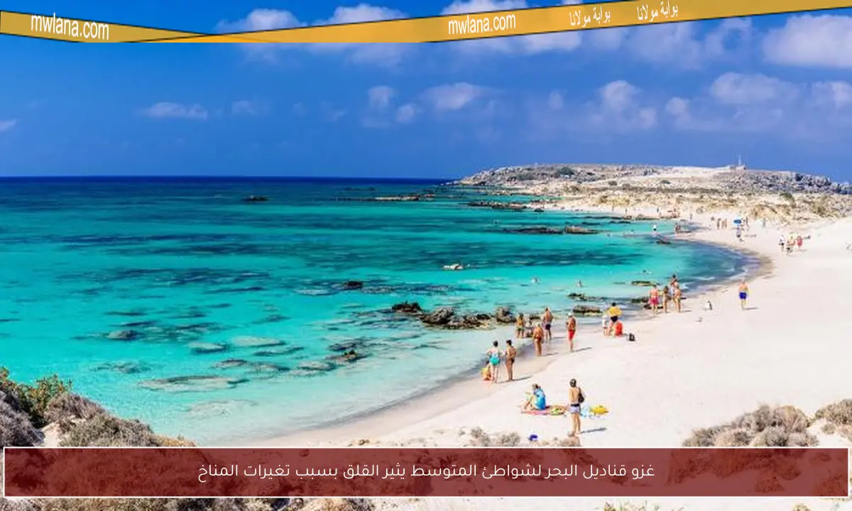 غزو قناديل البحر لشواطئ المتوسط يثير القلق بسبب تغيرات المناخ