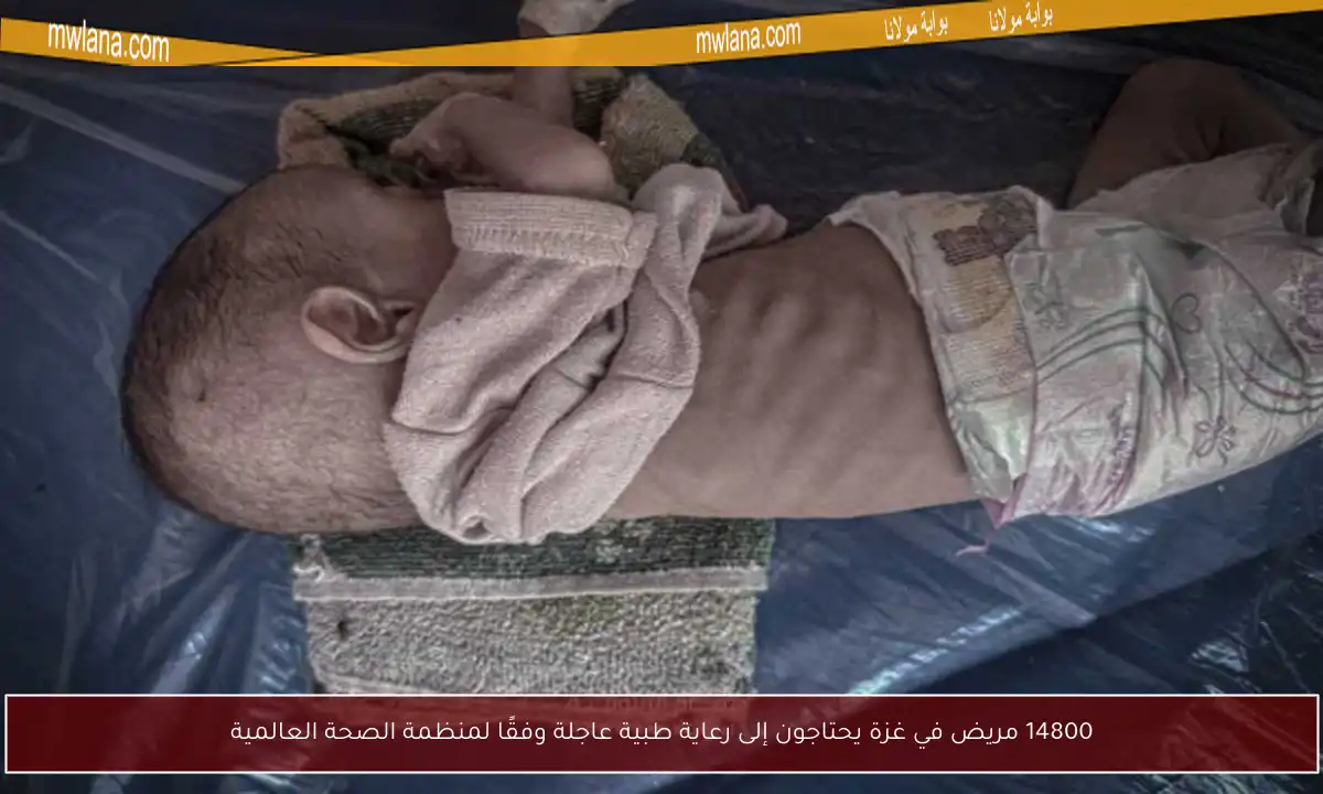 14800 مريض في غزة يحتاجون إلى رعاية طبية عاجلة وفقًا لمنظمة الصحة العالمية