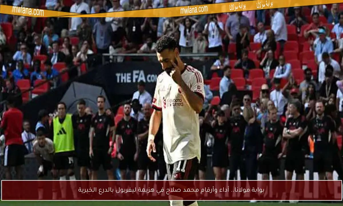 بوابة مولانا.. حارس كريستال بالاس يواصل تألقه أمام المصريين في النهائيات بعد إخفاق صلاح