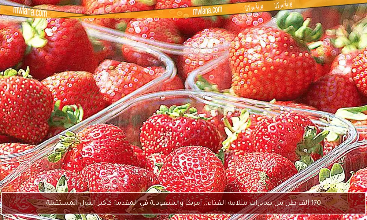 170 ألف طن من صادرات سلامة الغذاء.. أمريكا والسعودية في المقدمة كأكبر الدول المستقبلة