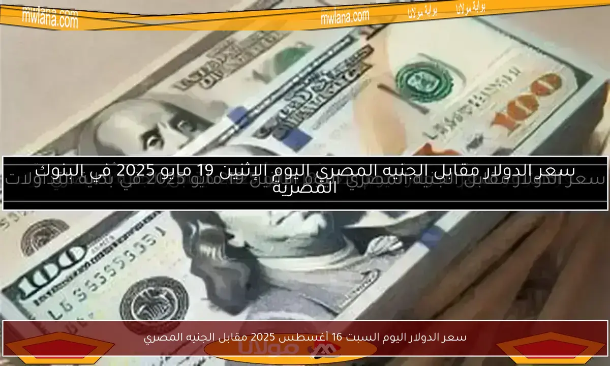 سعر الدولار اليوم السبت 16 أغسطس 2025 مقابل الجنيه المصري