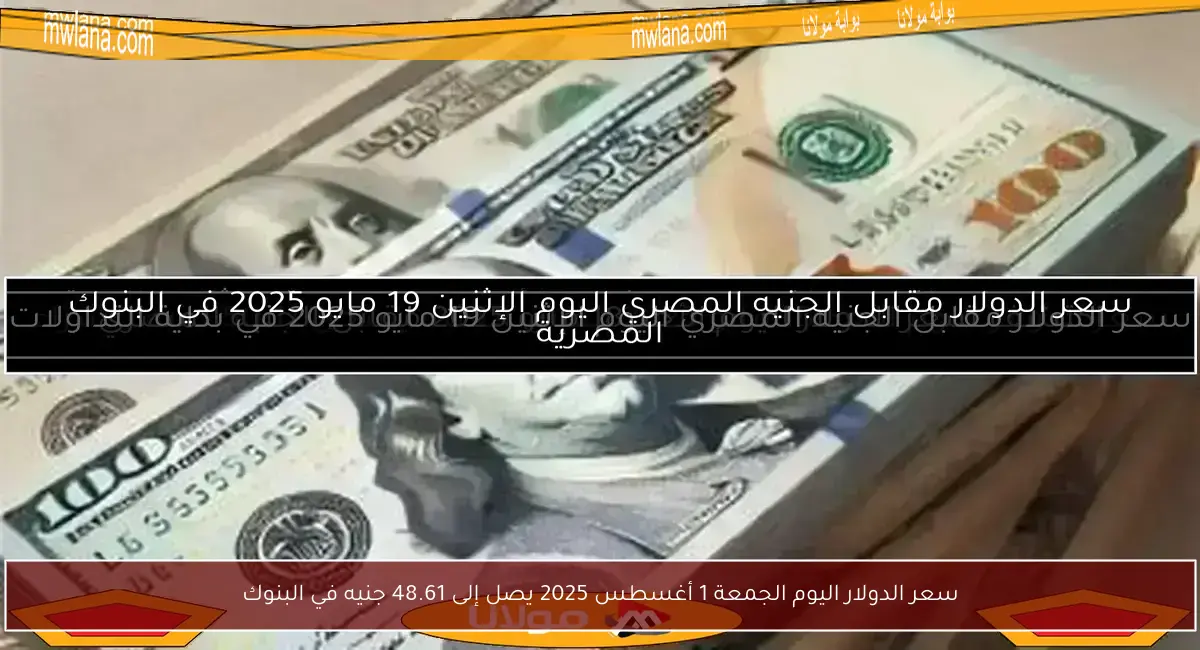 سعر الدولار اليوم الجمعة 1 أغسطس 2025 يصل إلى 48.61 جنيه في البنوك
