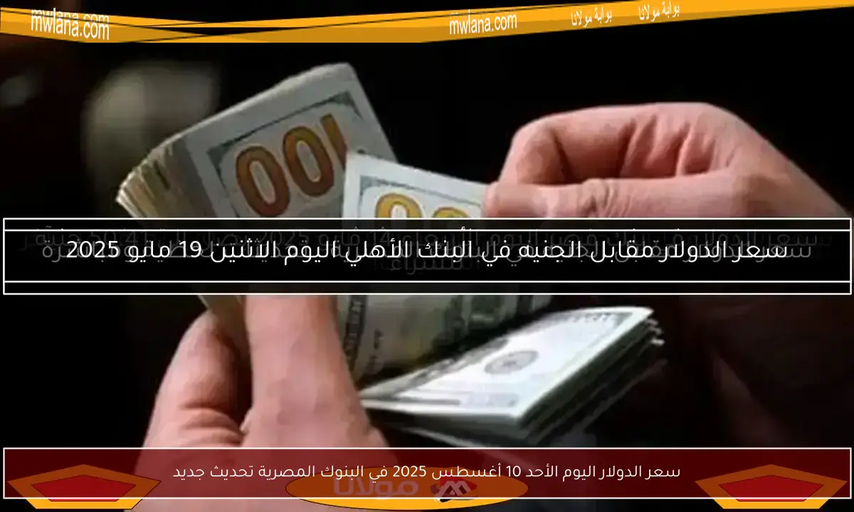 سعر الدولار اليوم الأحد 10 أغسطس 2025 في البنوك المصرية تحديث جديد