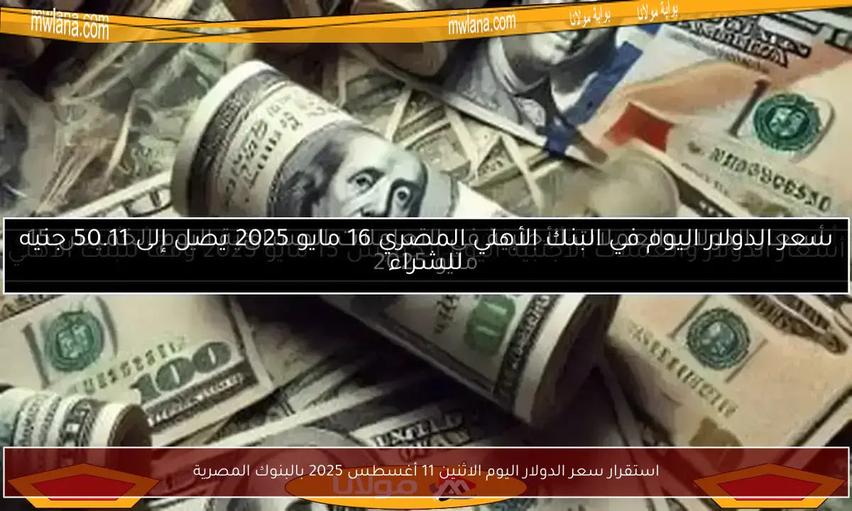 استقرار سعر الدولار اليوم الاثنين 11 أغسطس 2025 بالبنوك المصرية