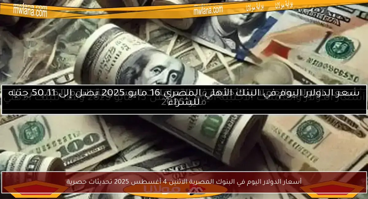 أسعار الدولار اليوم في البنوك المصرية الاثنين 4 أغسطس 2025 تحديثات حصرية