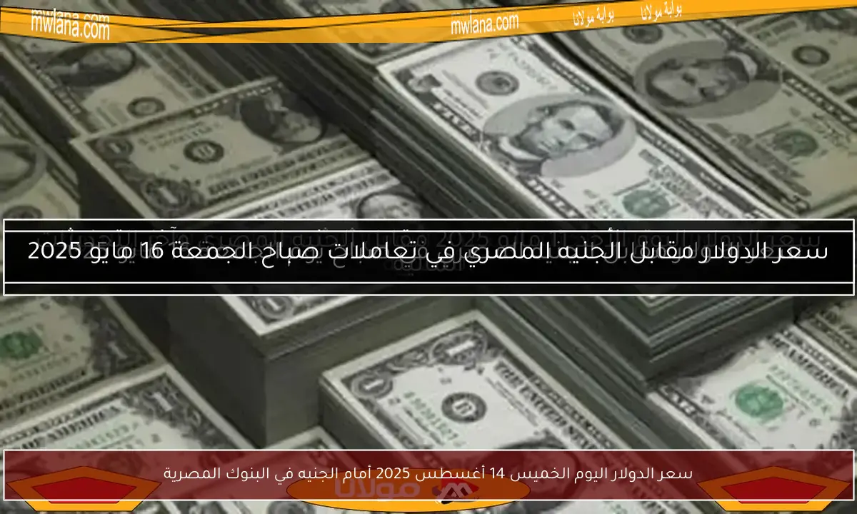 سعر الدولار اليوم الخميس 14 أغسطس 2025 أمام الجنيه في البنوك المصرية