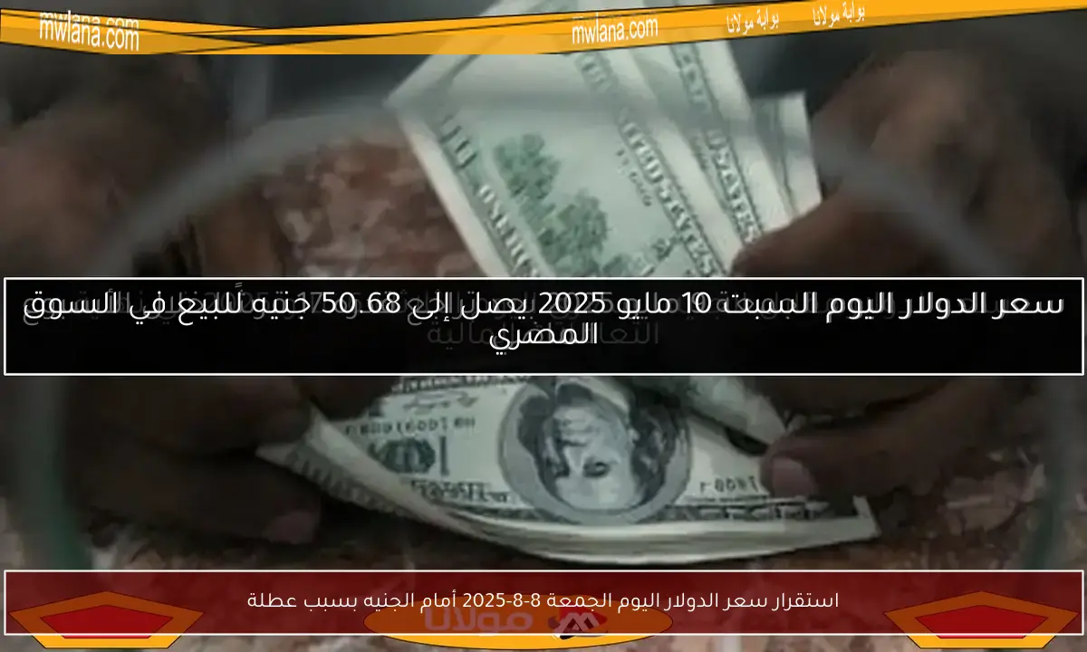 استقرار سعر الدولار اليوم الجمعة 8-8-2025 أمام الجنيه بسبب عطلة