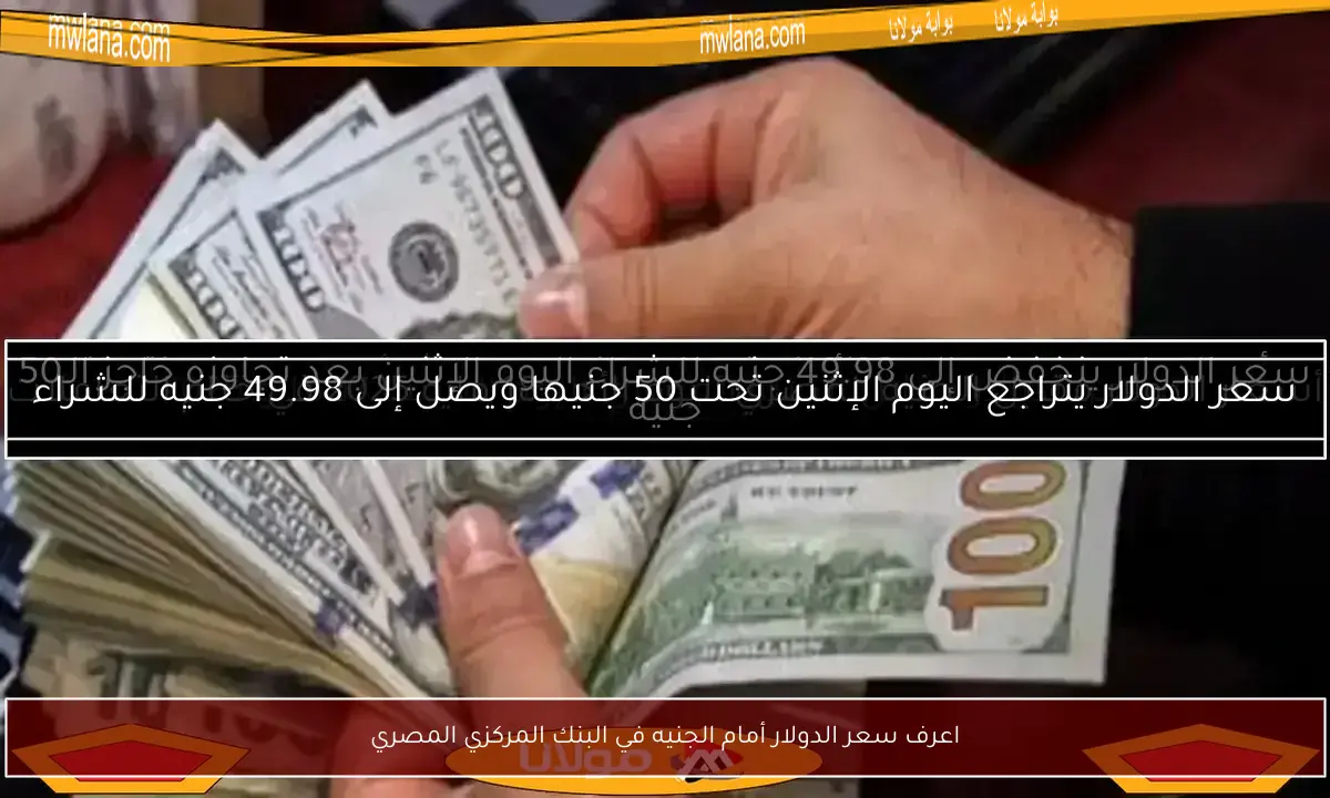 اعرف سعر الدولار أمام الجنيه في البنك المركزي المصري
