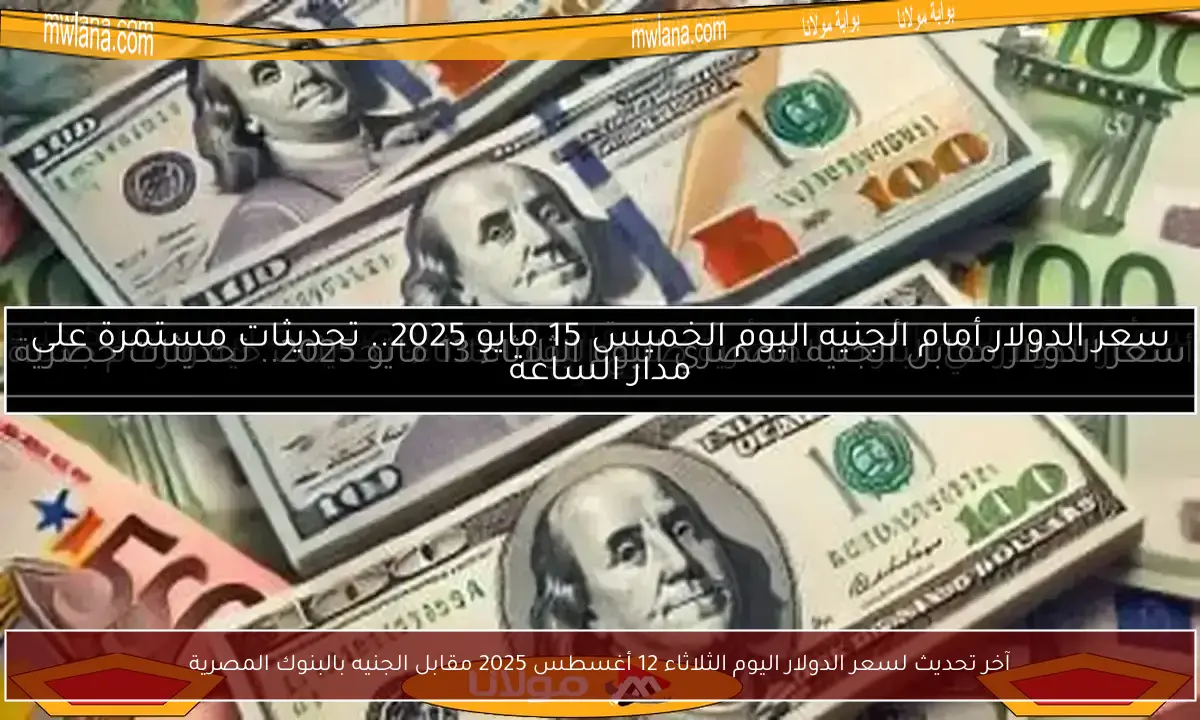آخر تحديث لسعر الدولار اليوم الثلاثاء 12 أغسطس 2025 مقابل الجنيه بالبنوك المصرية