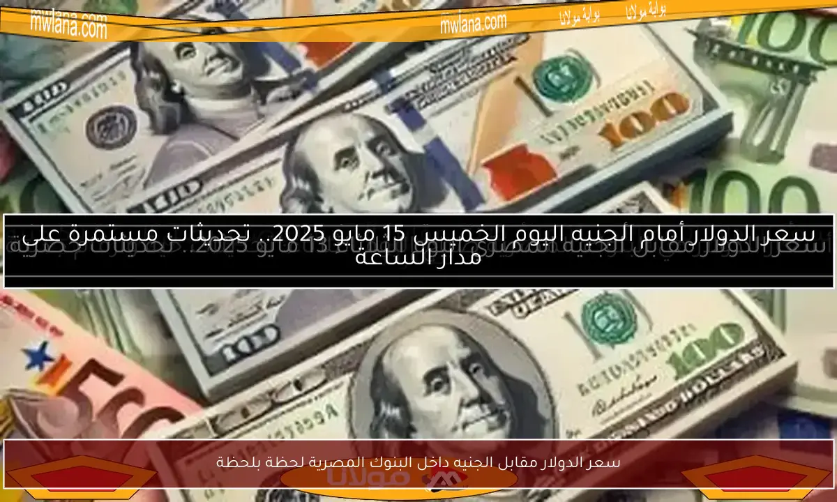 سعر الدولار مقابل الجنيه داخل البنوك المصرية لحظة بلحظة