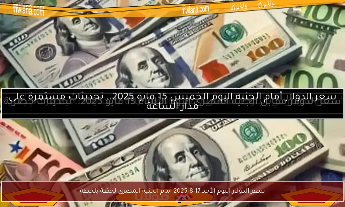 سعر الدولار اليوم الأحد 17-8-2025 أمام الجنيه المصرى لحظة بلحظة