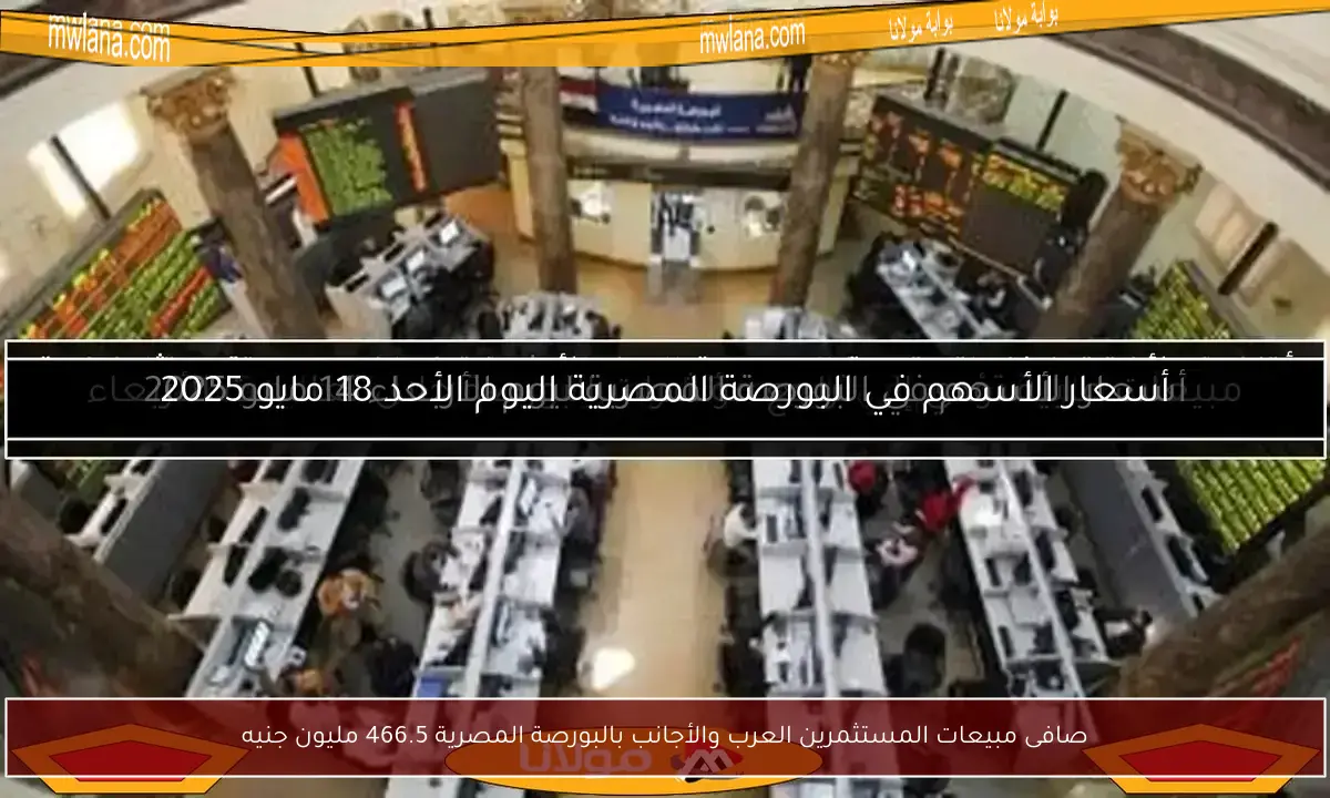 صافى مبيعات المستثمرين العرب والأجانب بالبورصة المصرية 466.5 مليون جنيه