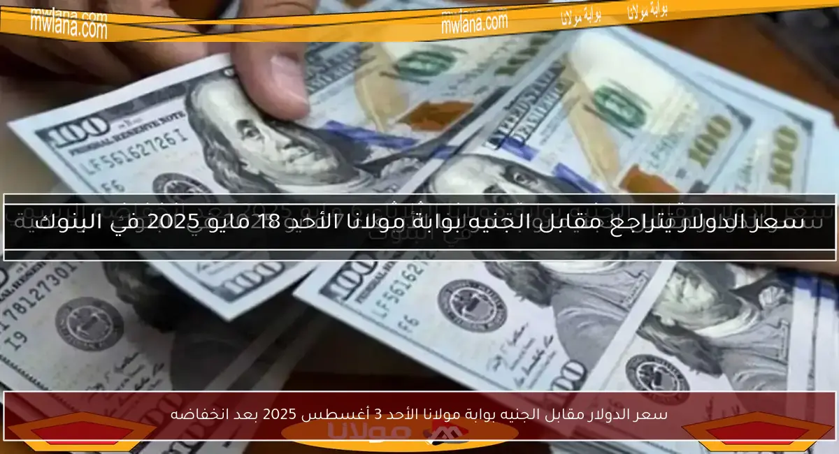 سعر الدولار مقابل الجنيه بوابة مولانا الأحد 3 أغسطس 2025 بعد انخفاضه